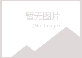 安图县冰烟机械有限公司